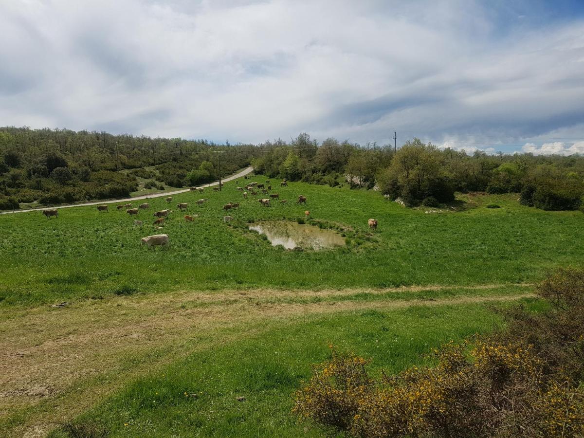 Santuari De La Salut De Sant Feliu de Pallerols Exterior foto